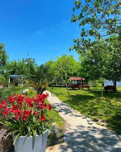 Dereboyu Park'ta ağaç gölgesinde vakit geçiren bir aile